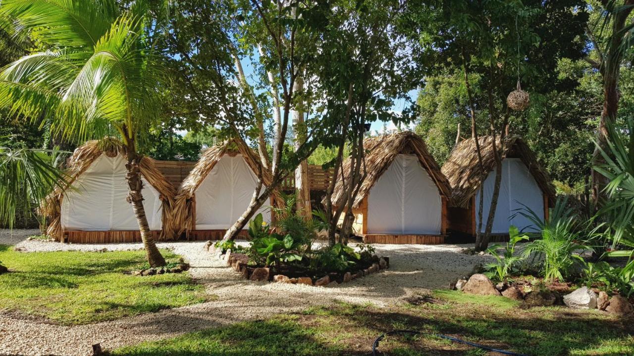 El Buho Bacalar Eco-Cabanas Hostal Buitenkant foto