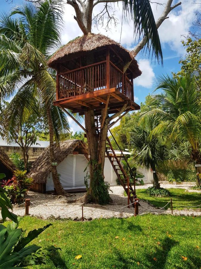 El Buho Bacalar Eco-Cabanas Hostal Buitenkant foto