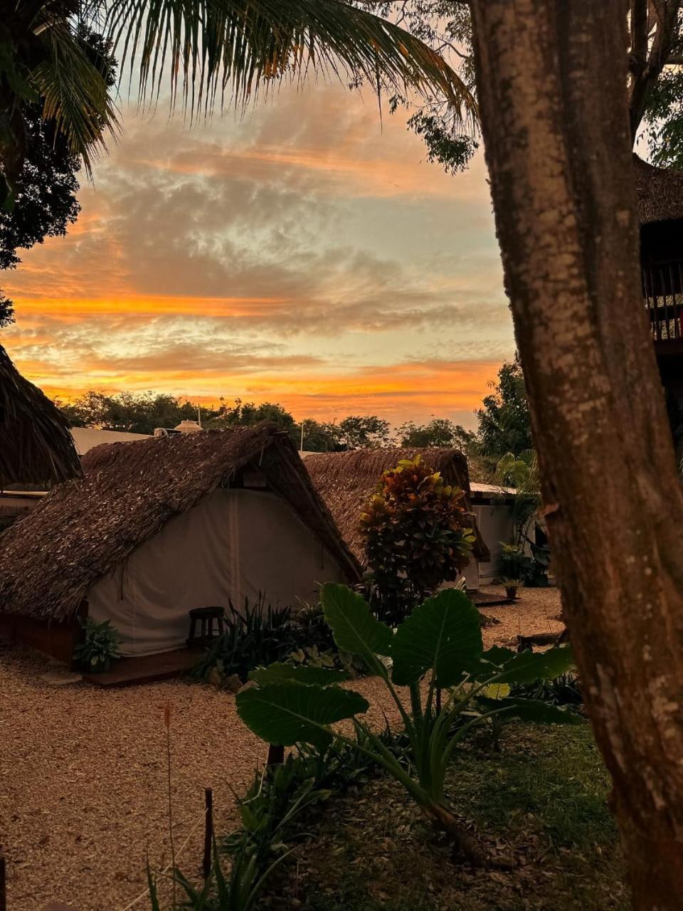 El Buho Bacalar Eco-Cabanas Hostal Buitenkant foto