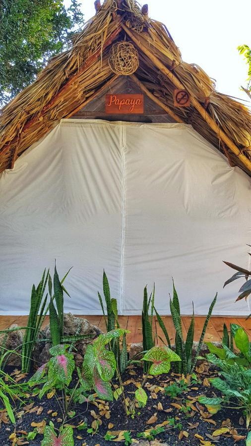 El Buho Bacalar Eco-Cabanas Hostal Buitenkant foto