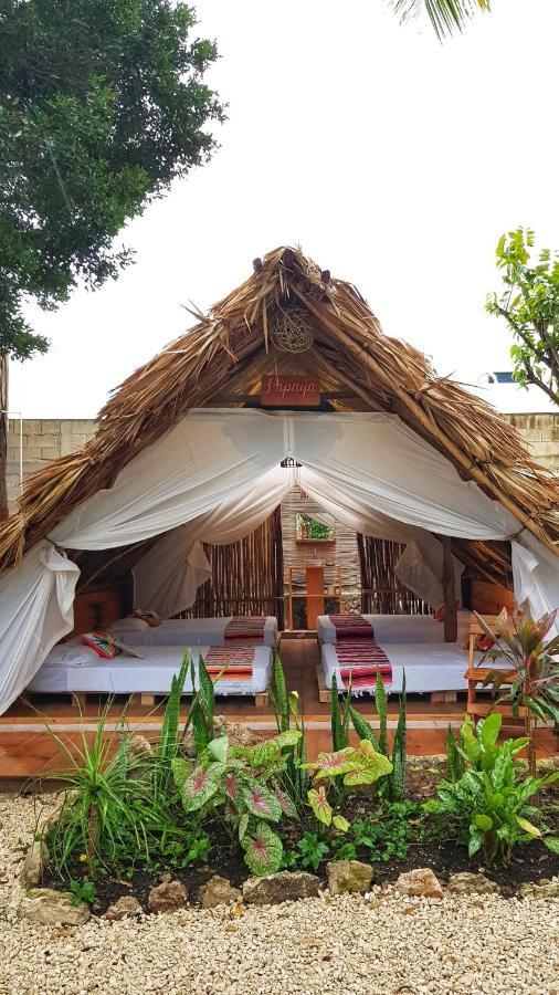 El Buho Bacalar Eco-Cabanas Hostal Buitenkant foto